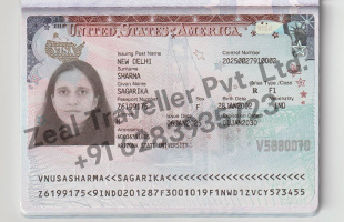 Visa